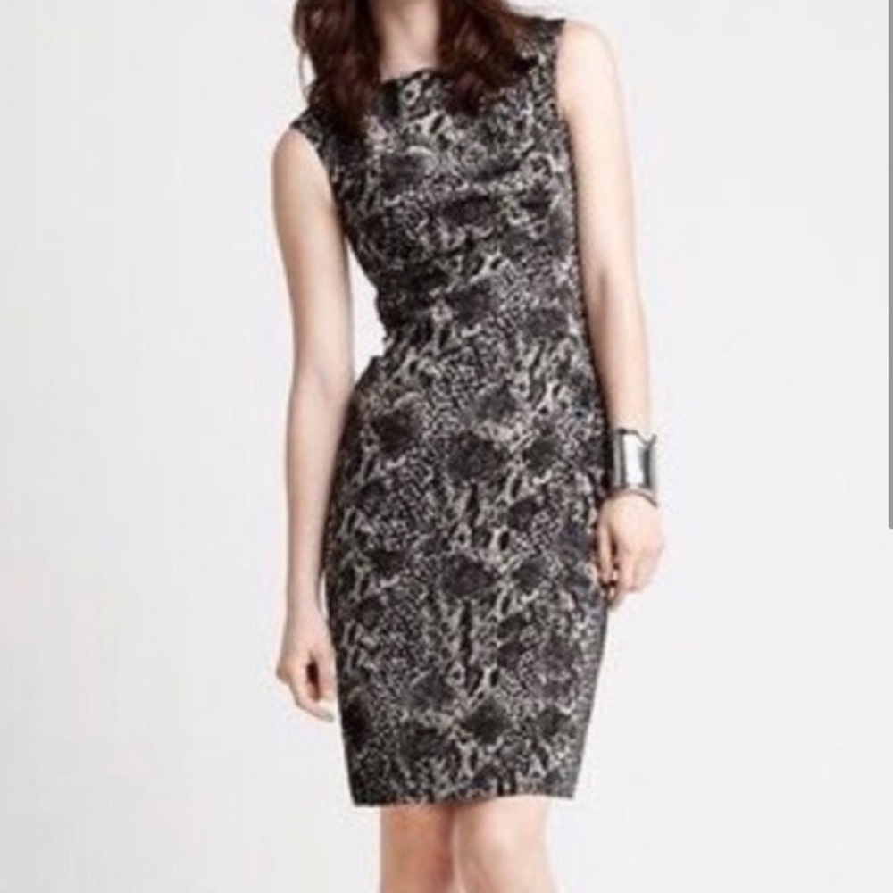 Ann Taylor Snake Print Sheath Dress